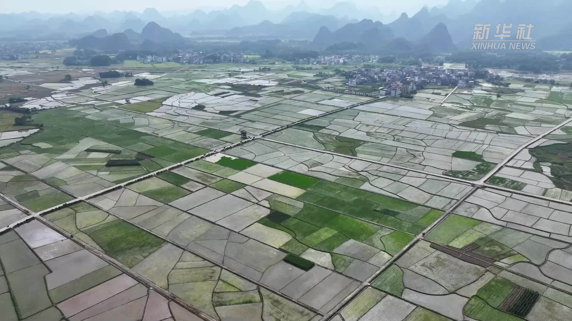 瞰中国｜湖南宁远：夏种绘就好“丰”景