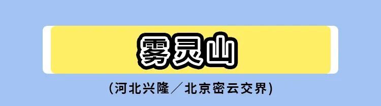 暑期标题4.jpg