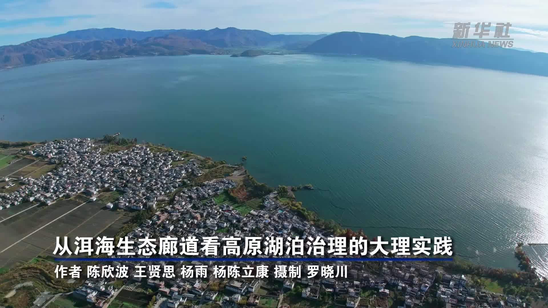 从洱海生态廊道看高原湖泊治理的大理实践