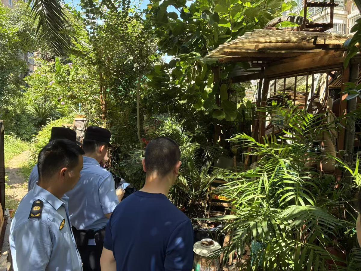 武汉一男子为食用新鲜蜂蜜竟在小区内养蜜蜂 居民惶惶不安