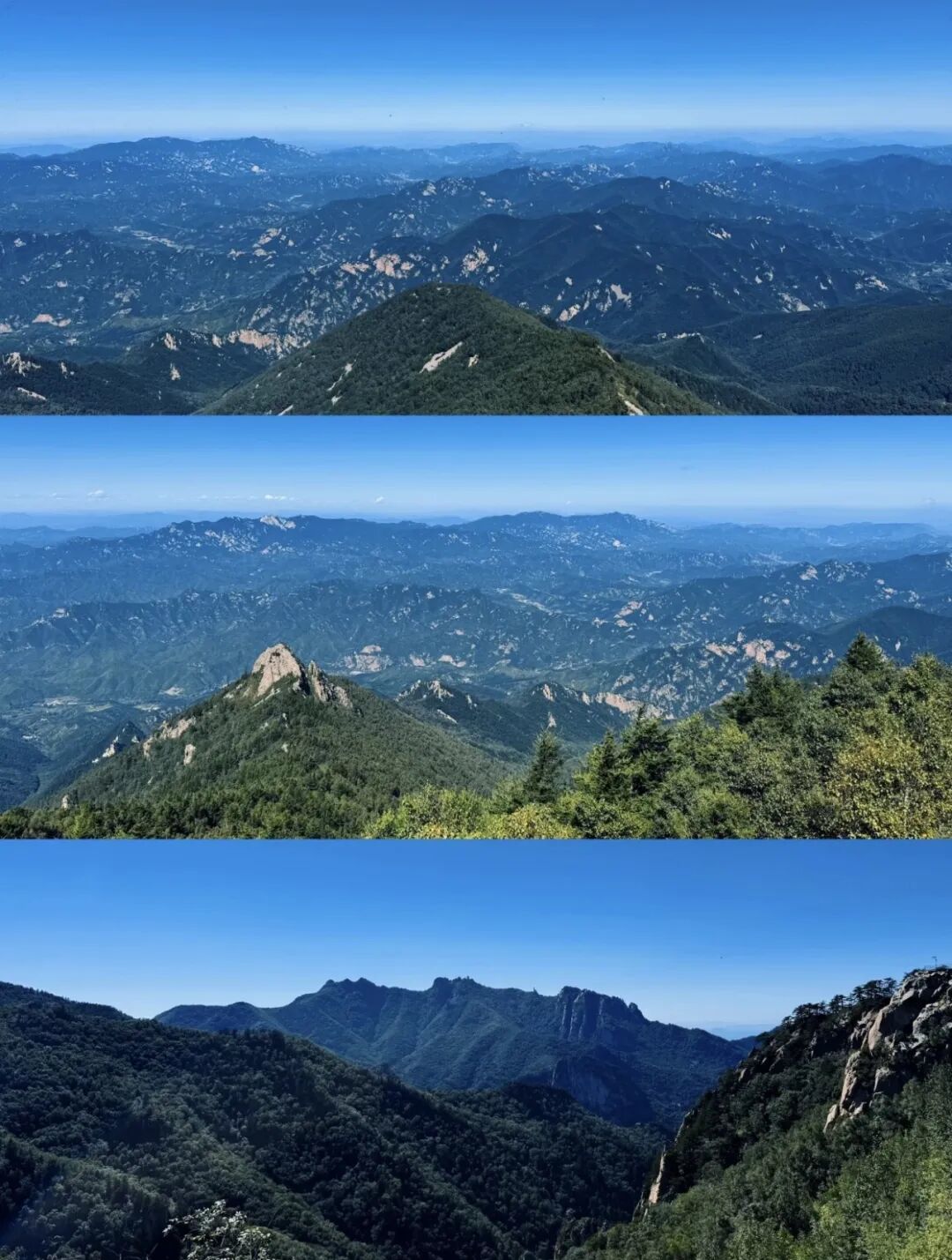 微信图片_20260723164509_23_44.jpg
