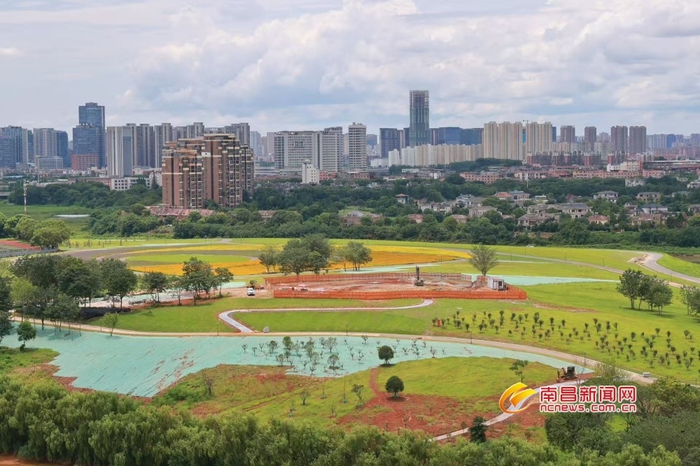 南昌：花海铺展 园景渐成（图）