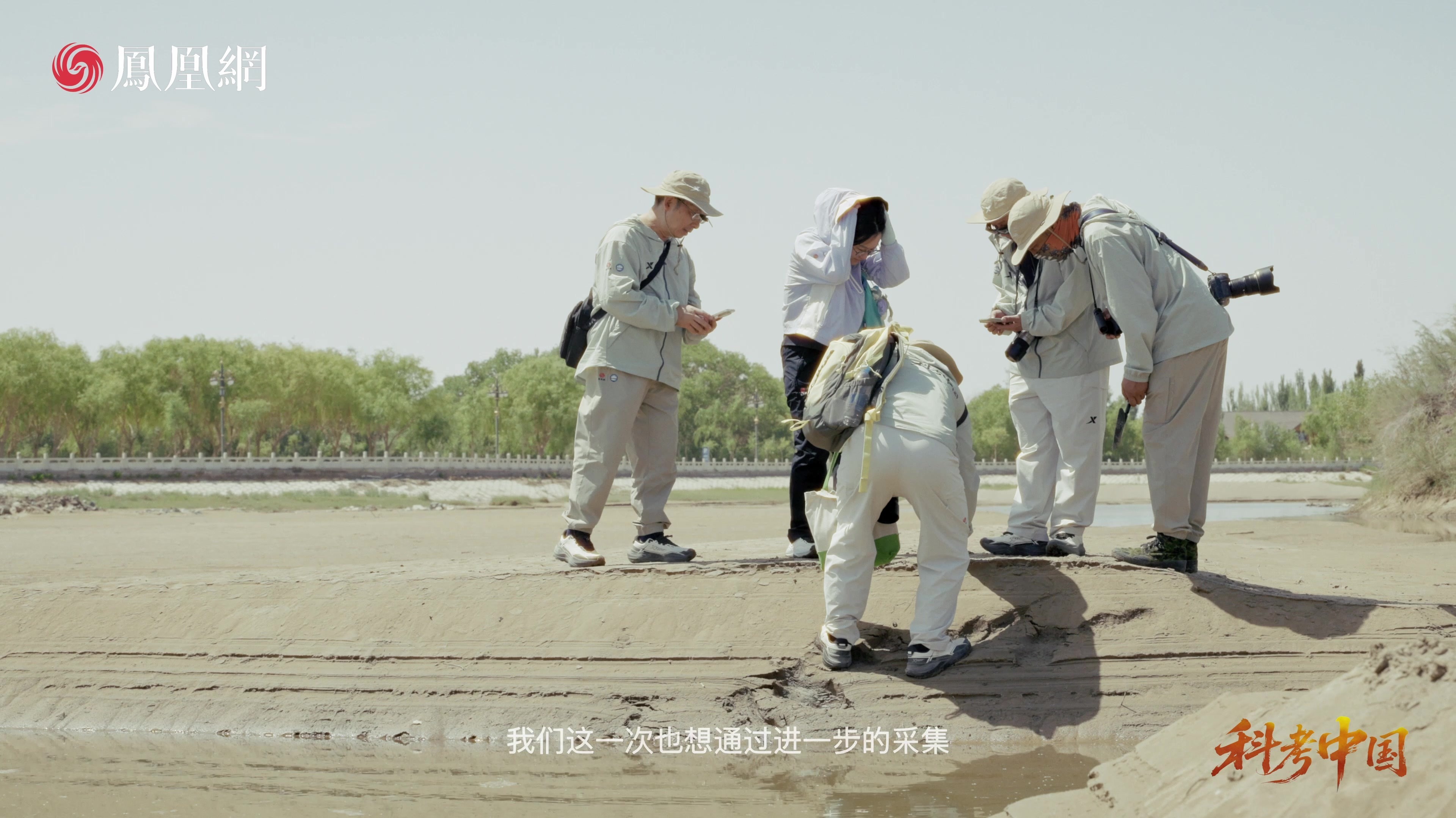有望成为新物种？巴丹吉林沙漠湖泊发现神秘鼓鳔鳅