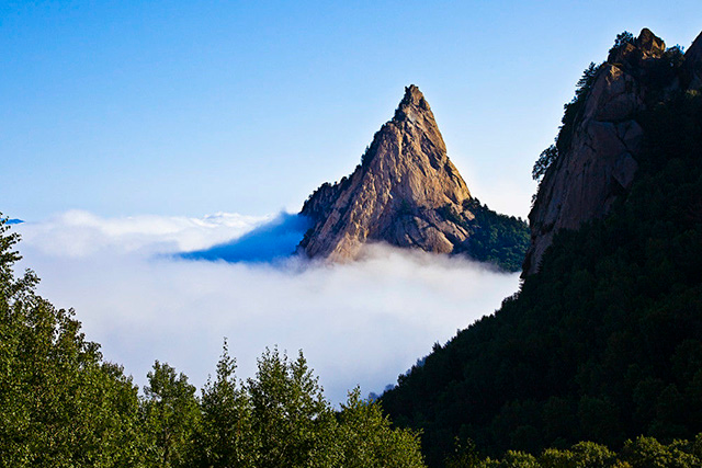 兴隆县・雾灵山，燕山主峰，云海仙境，天然原始森林公园