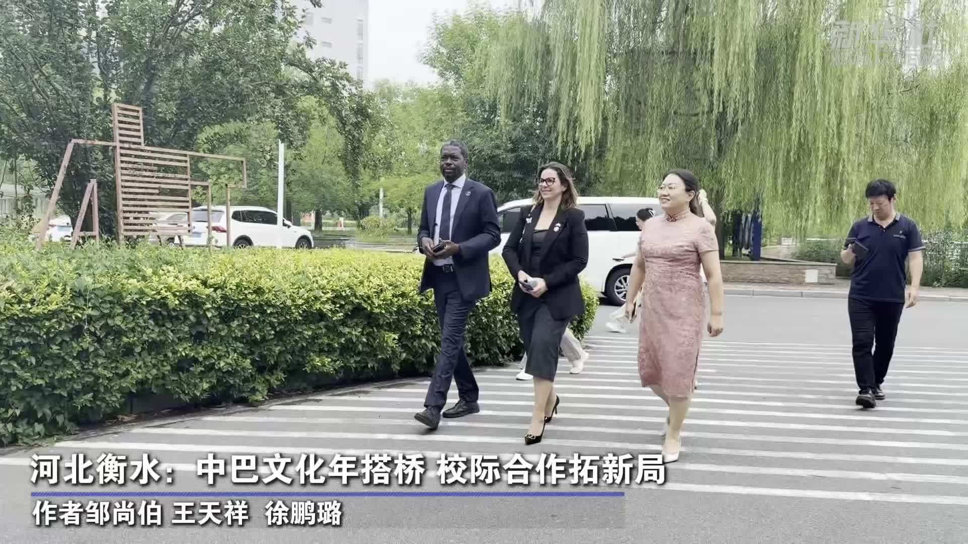 河北衡水：中巴文化年搭桥 校际合作拓新局