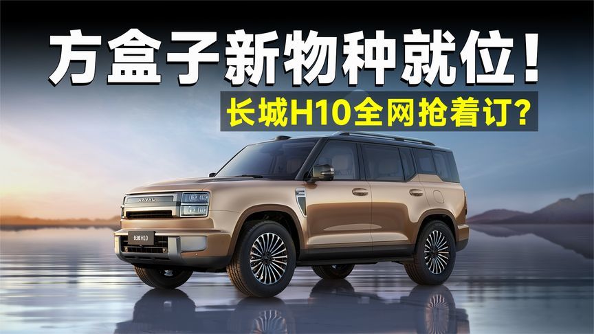 唯一方盒子大六座！长城H10凭什么提前锁定年度销冠？