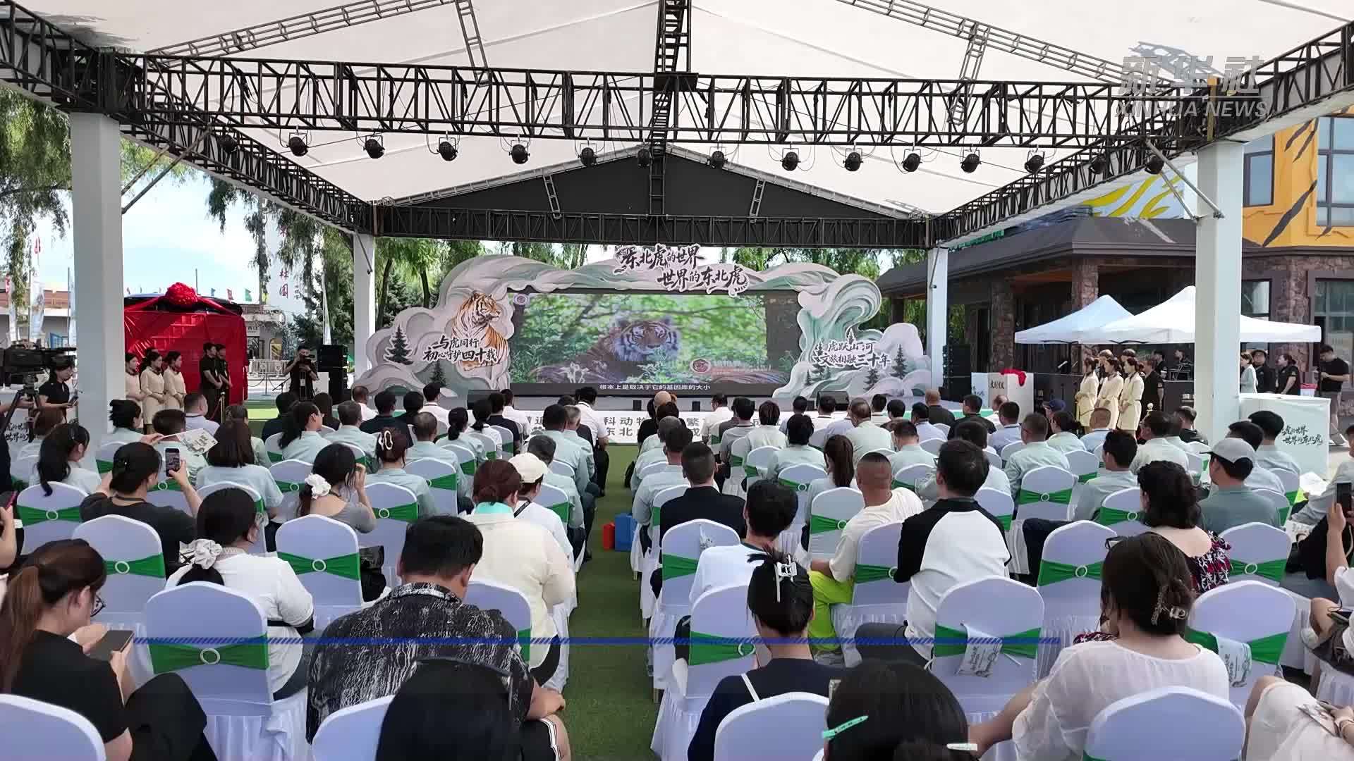 黑龙江东北虎林园举办“全球老虎日”主题活动