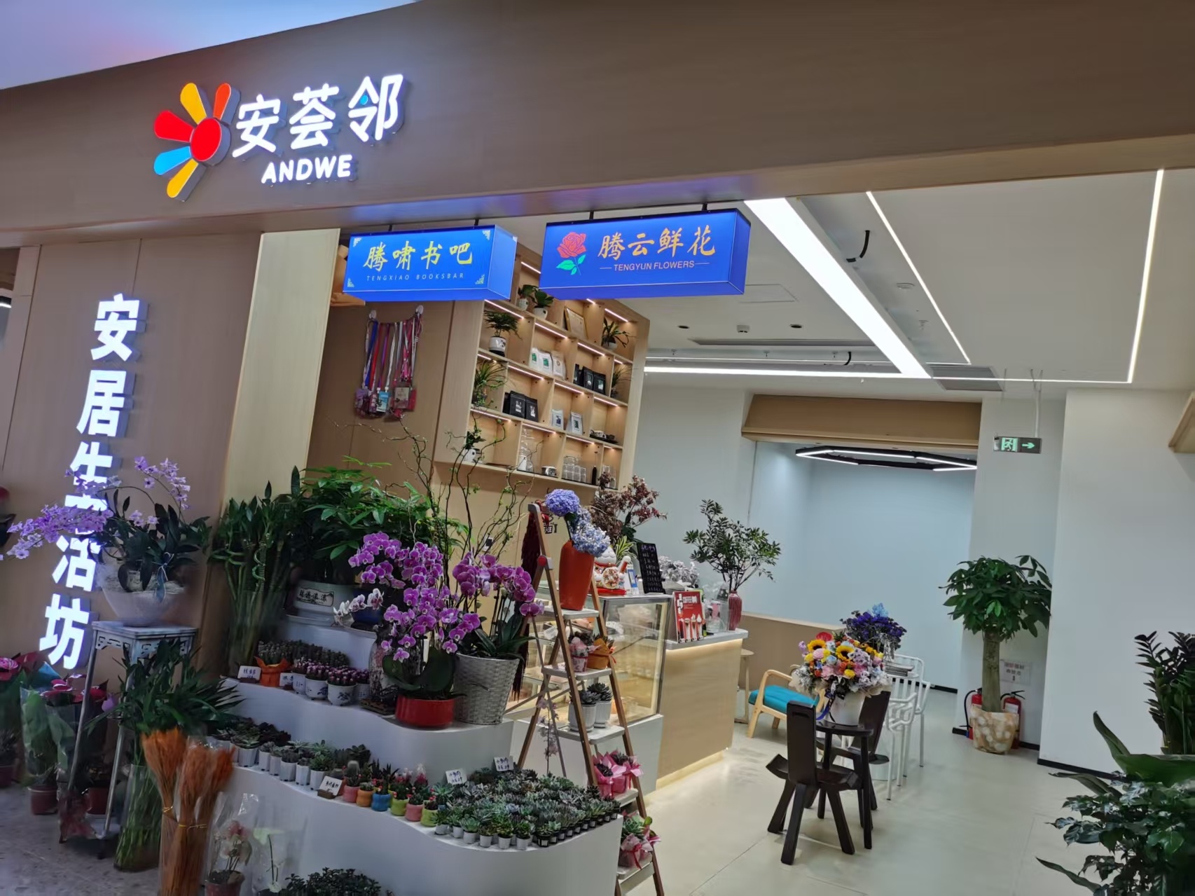 花艺遇书香,花香伴咖啡!腾云鲜花×腾啸书吧跨界复合空间落户莲塘安荟邻