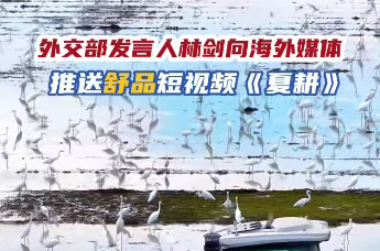 出圈海外！外交部发言人推介的江西生态美景，就是永修！