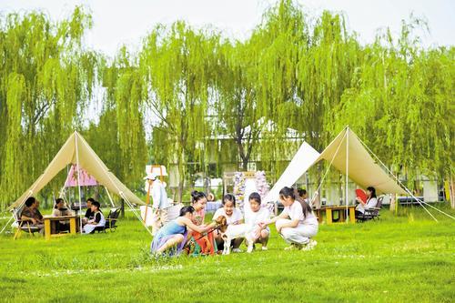 7月22日,市民在邯郸市复兴区沁河郊野公园享野露营基地享受休闲时光。本报记者 田 明摄