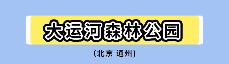 暑期标题2.jpg