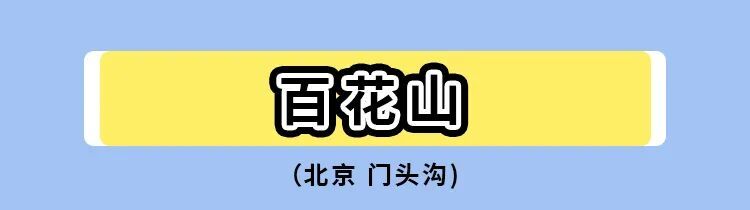暑期标题3.jpg