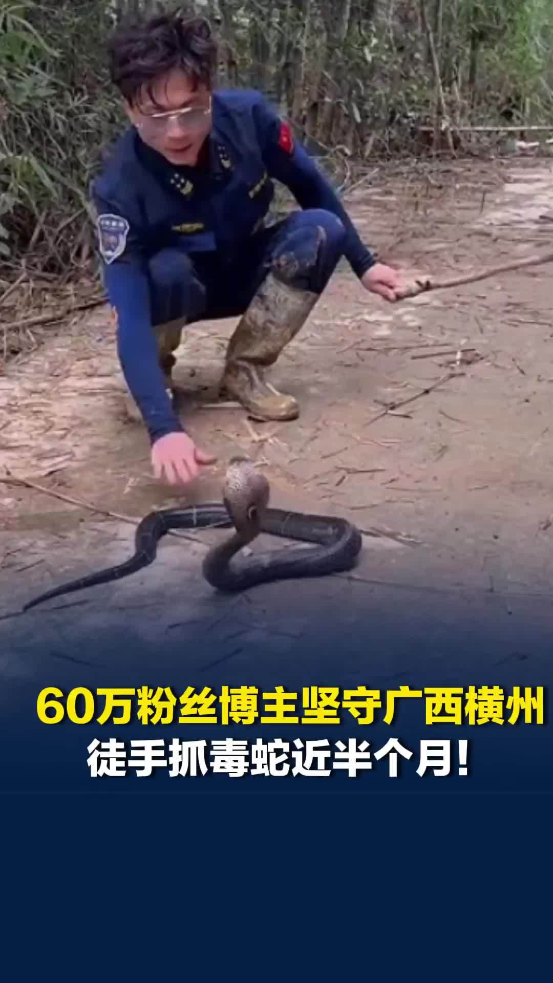 60万粉丝博主坚守广西横州，徒手抓毒蛇近半个月：抓得越多，咬人风险就降得越多