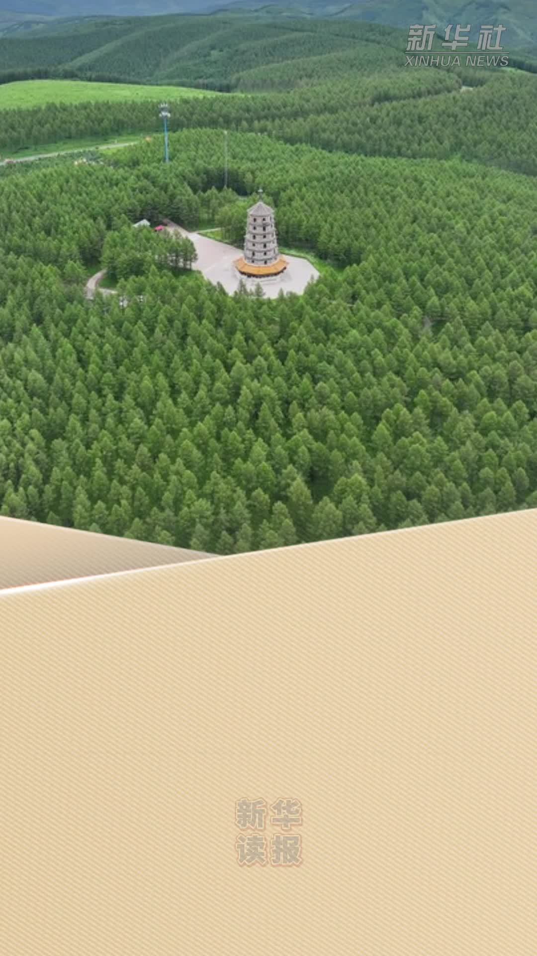 新华读报｜非媒报道：塞罕坝生态杰作展现独特魅力
