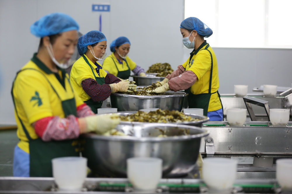 7月28日,在甘肃省天水市武山县的甘肃陇浆源农业科技有限公司,工人在浆水生产车间内忙碌。新华社发(王克贤 摄)