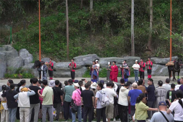 启程广场马帮出征仪式实拍