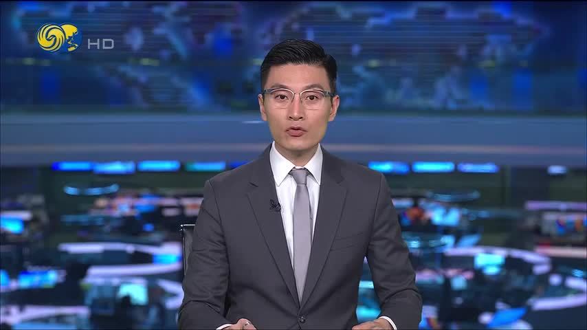 中国商务部部长王文涛与英新任商贸大臣雷诺兹视频通话