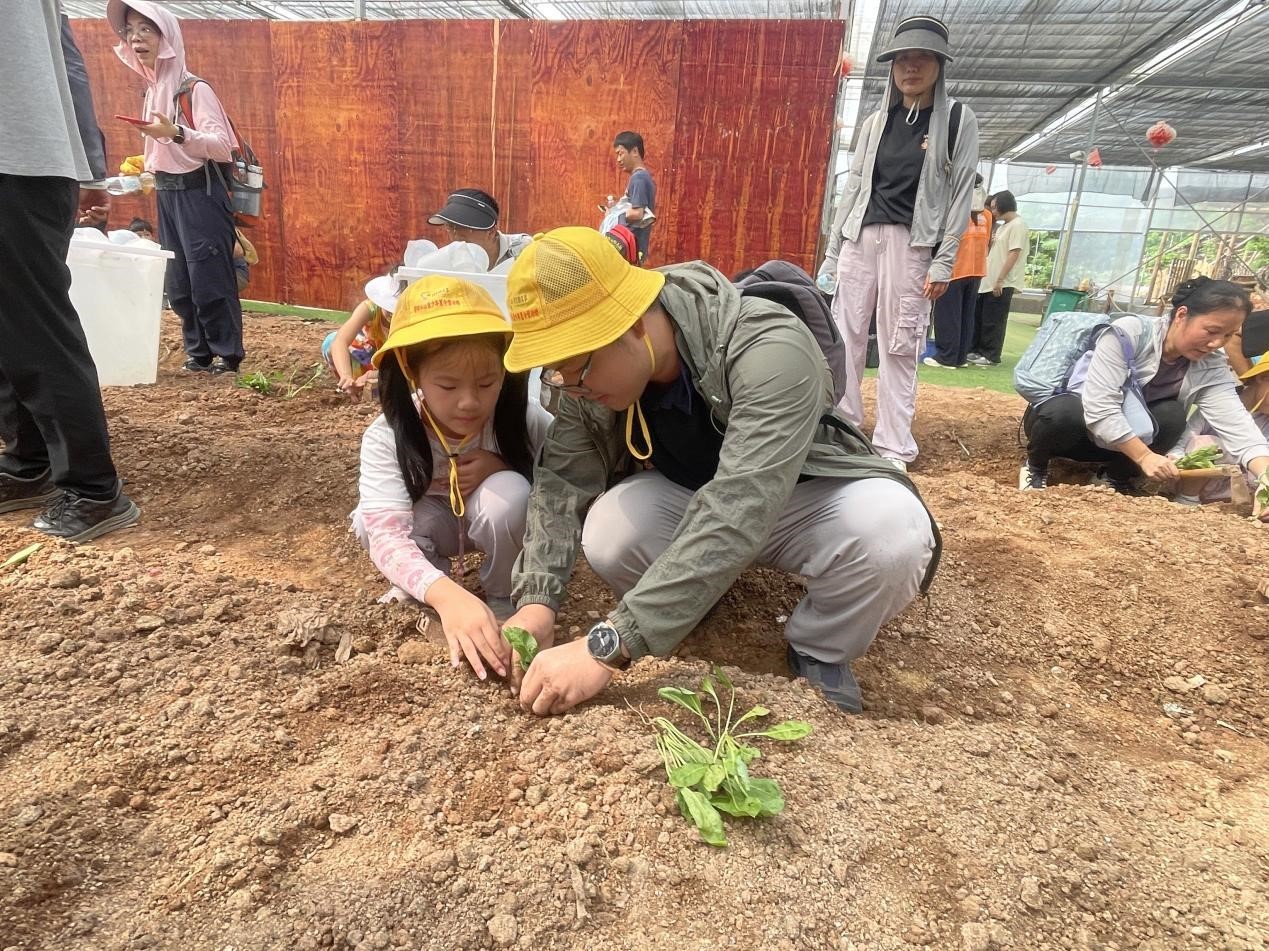菜地边，亲子种植的美好时光