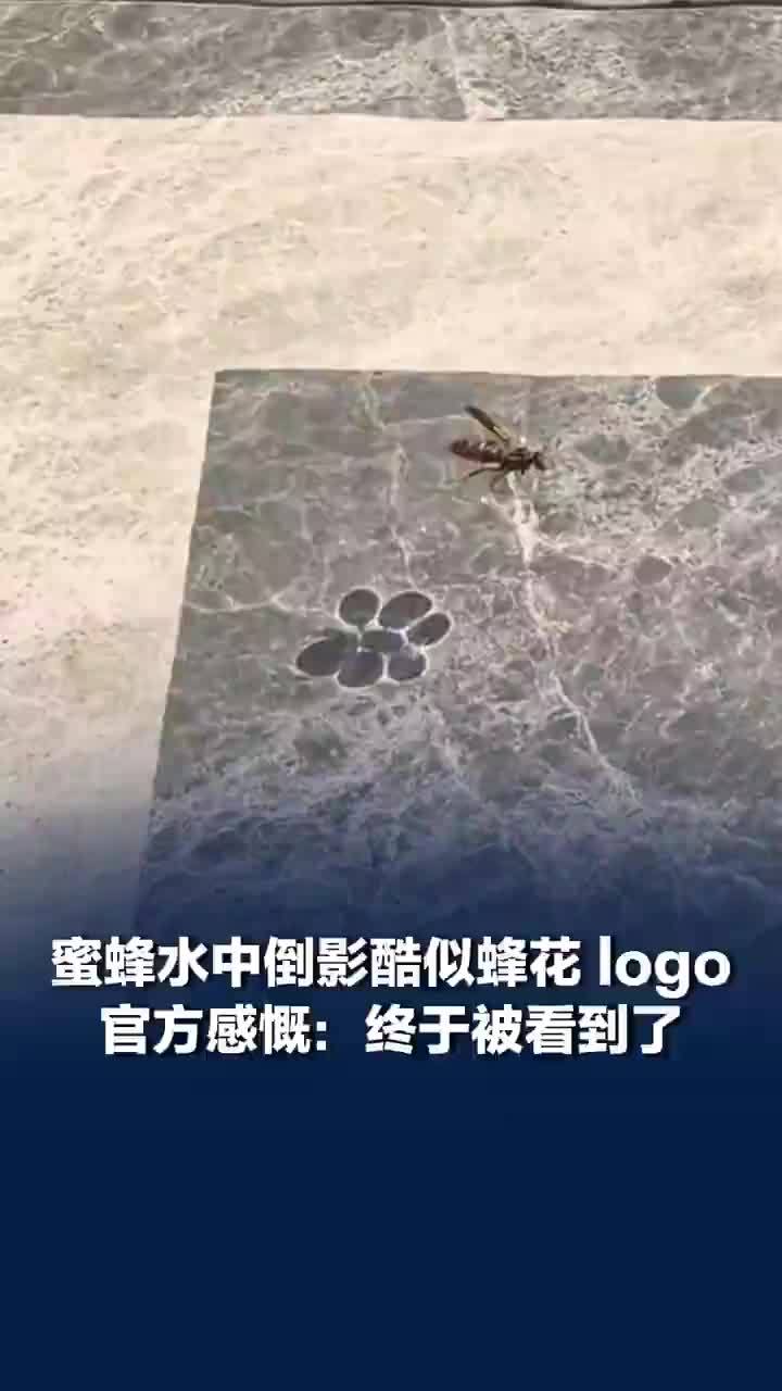 蜜蜂水中倒影酷似蜂花logo！蜂花回应蜜蜂水中倒影酷似其logo：40多年了，花花终于被看到了