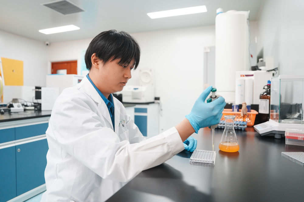 7月29日,兰州大学博士生刘舜漯滴加浆水益生菌发酵液提取物,观察不同菌株的性能。兰州大学生命科学学院研究团队从浆水中分离筛选出具有不同功效的GR系列专属益生菌菌株。新华社记者 刘克英 摄