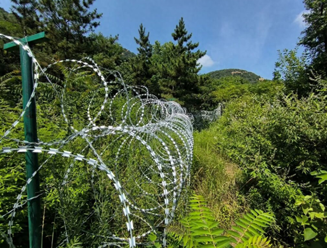 门票全在帮还利息？泰山隔离网引热议，万岁山半年赚9亿给出答案
