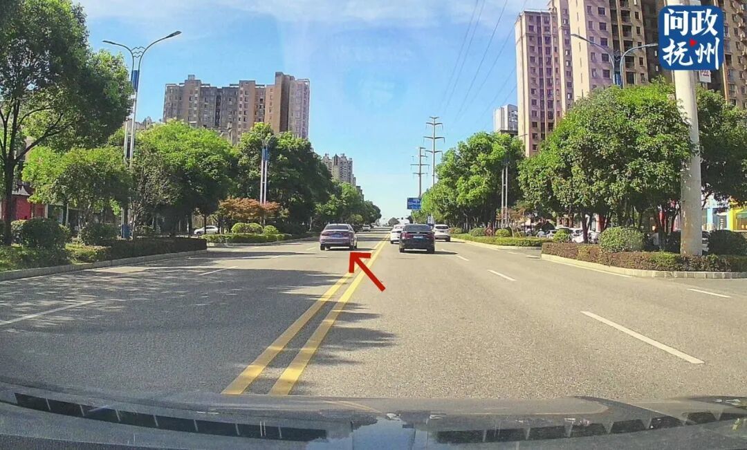 ▲图片由网友提供