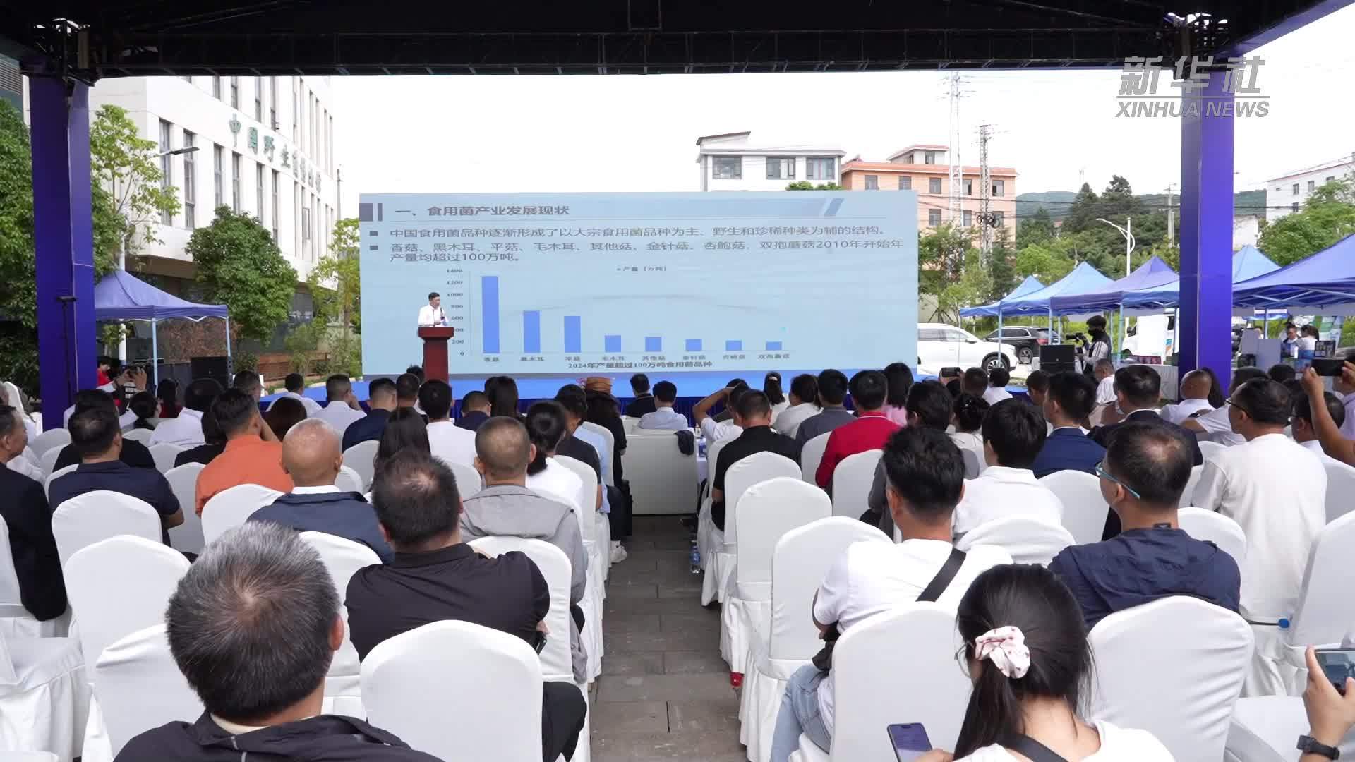 2026野生食用菌产业发展大会在昆召开