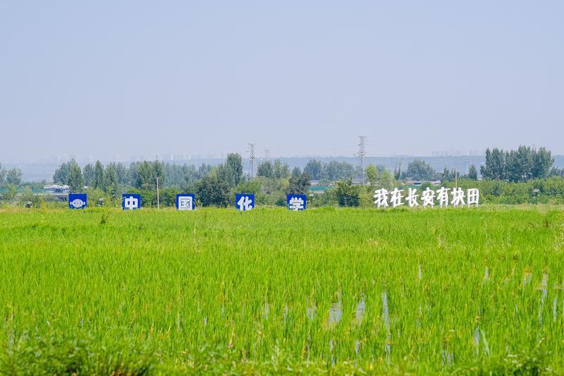 图为：参会代表实地观摩山水工程。受访单位供图