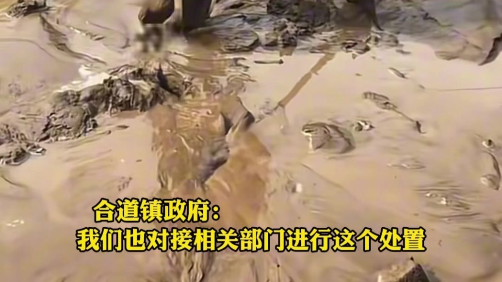 甘肃一地淤泥灌进院没过脚踝　村民：近几年最大一场雨
