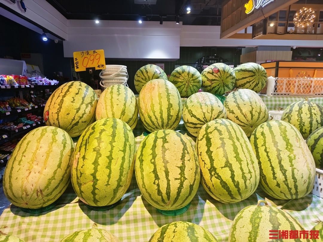 长沙西瓜价格“大跳水”“吃瓜自由”提前到位