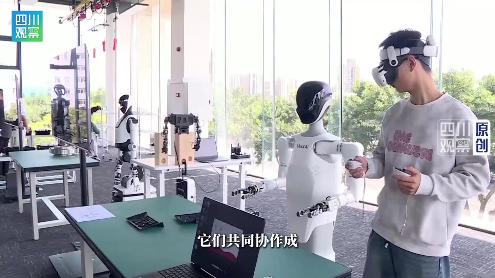 借力APEC东风，四川如何迈向数智发展新未来？