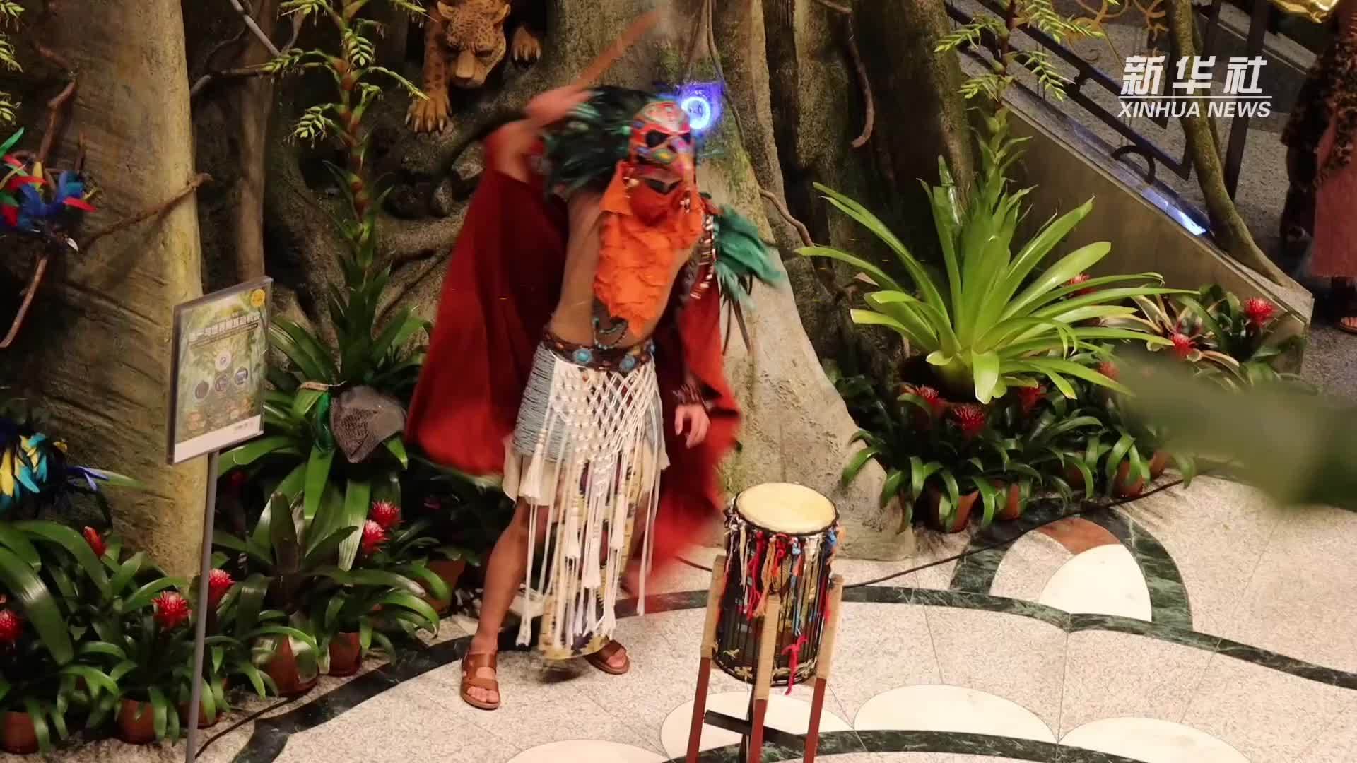 文化中国行·博物馆之夜丨探访上博“动物奇妙夜”