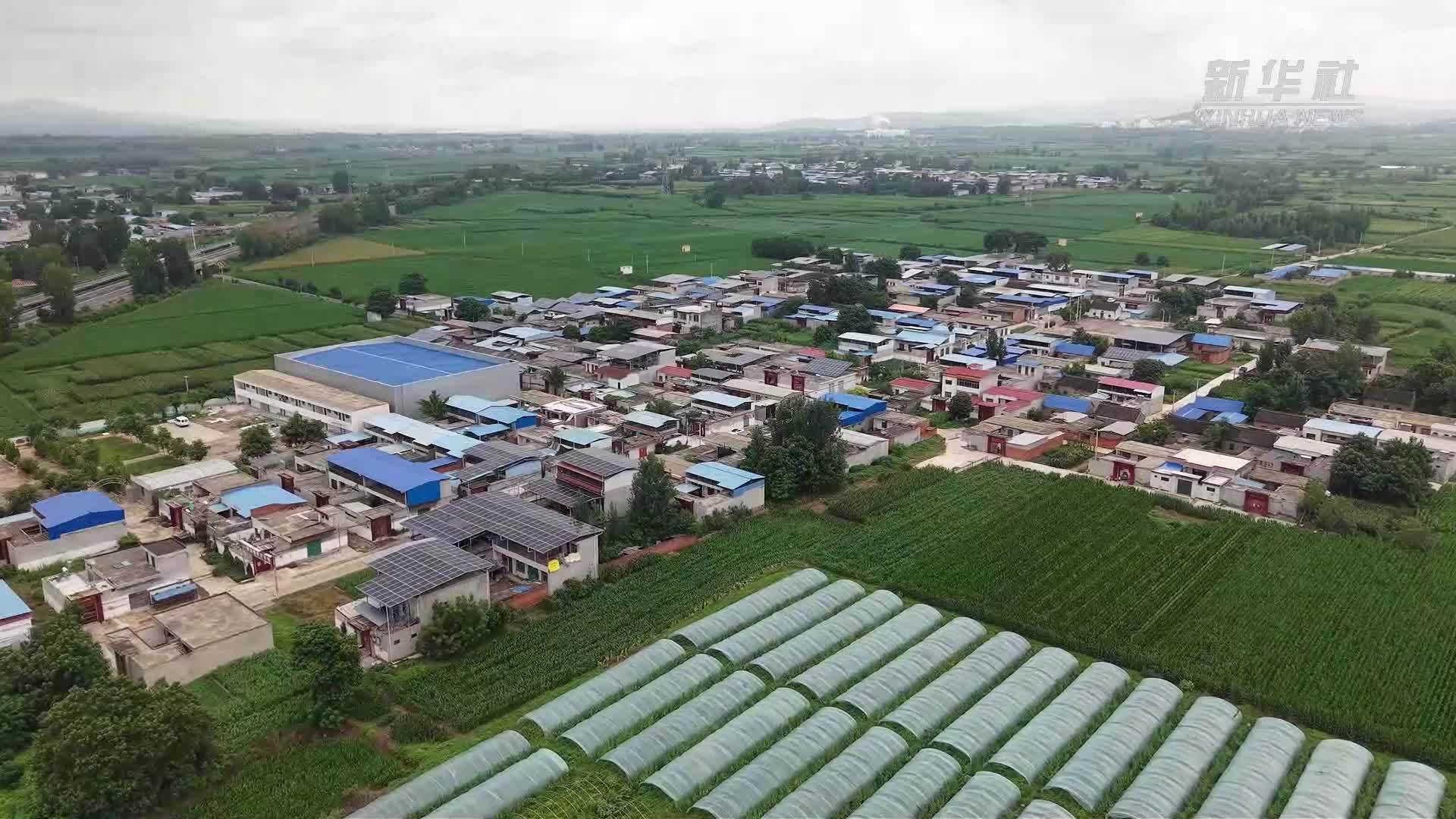 “职”达未来｜家门口的另一种可能