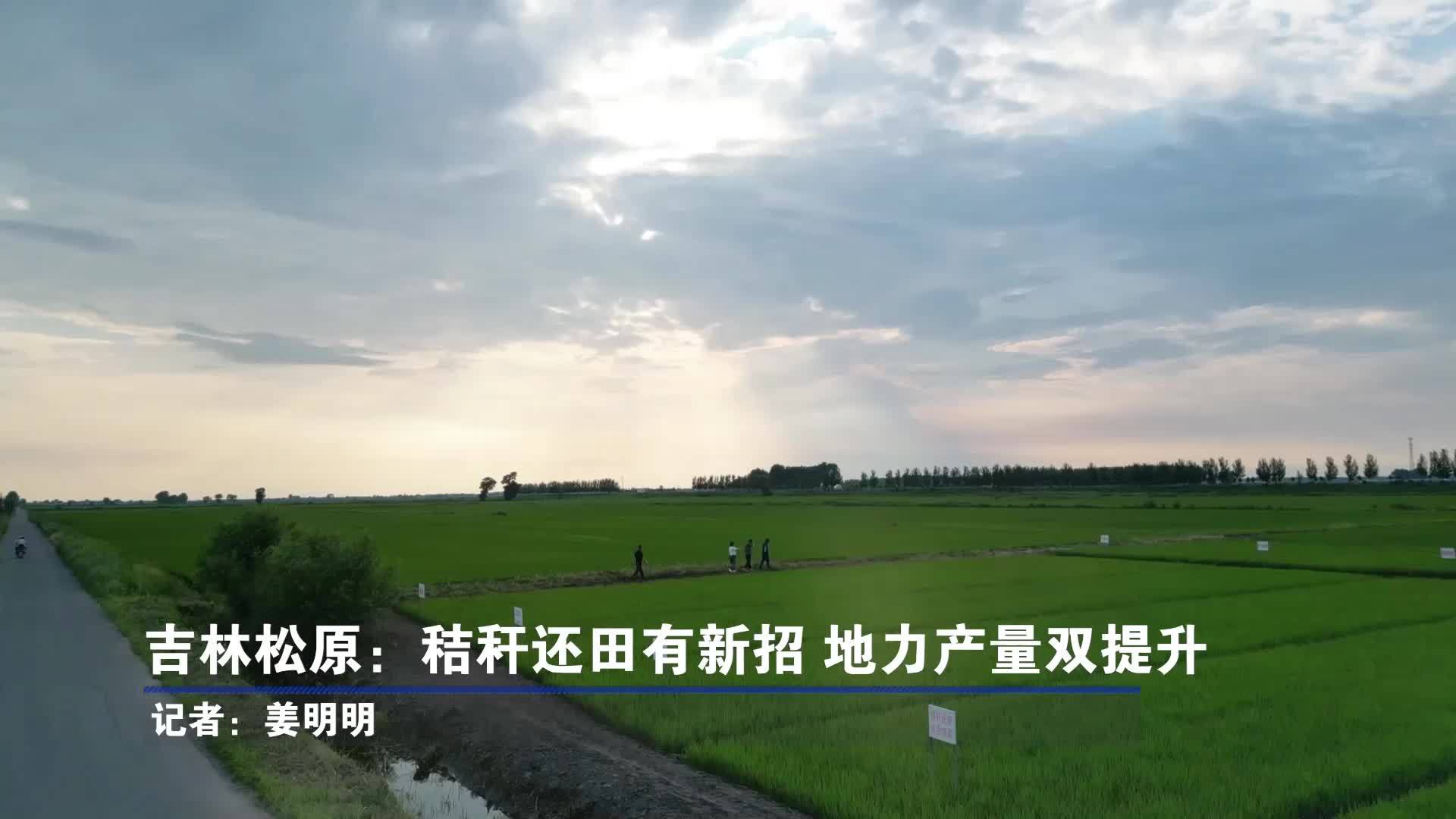 吉林松原：秸秆还田有新招 地力产量双提升