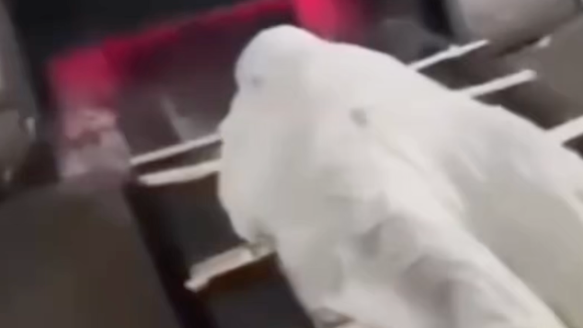 骇人！印度一男子在祖母火化时抱住遗体钻入焚尸炉，全身大面积严重烧伤