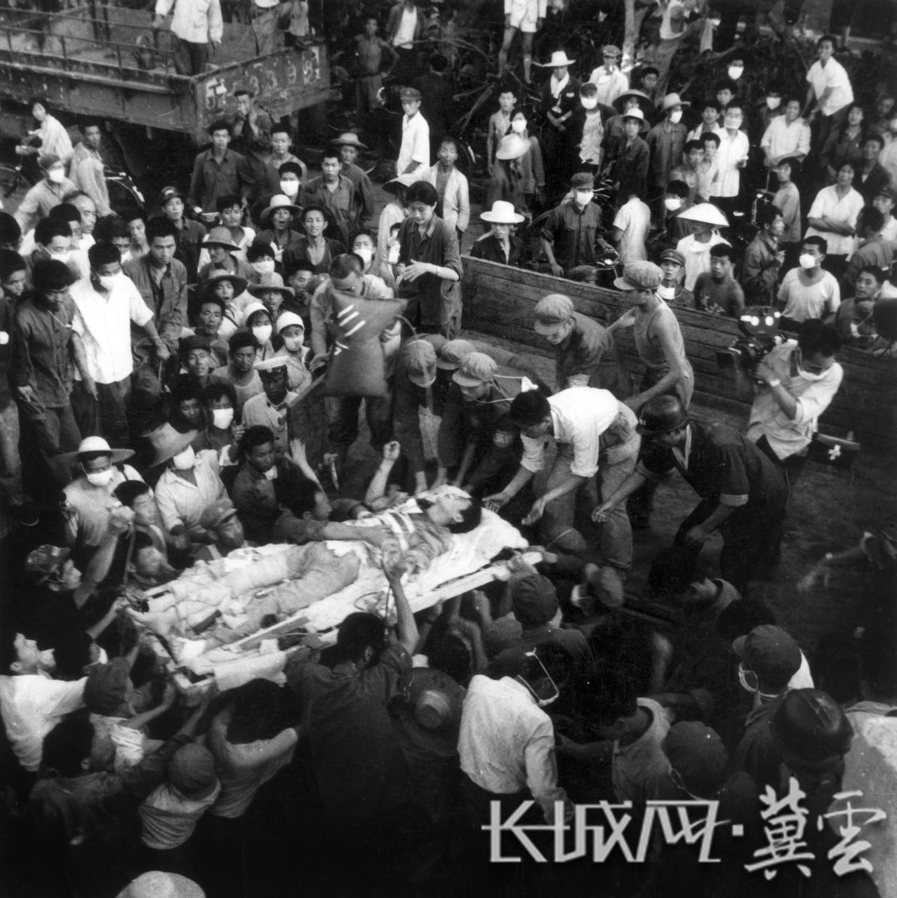 第二次生命。常青 摄