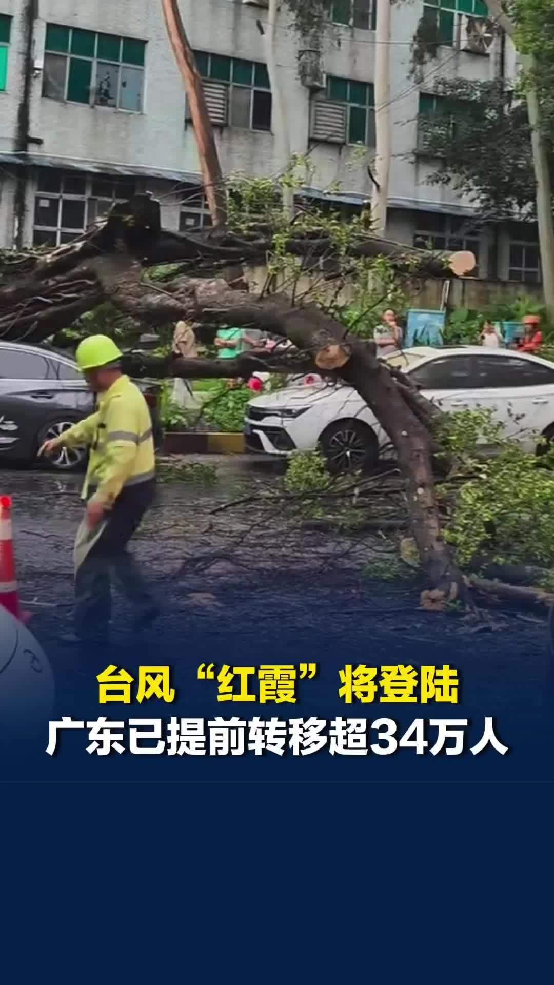 台风“红霞”将登陆，广东省提前转移超34万人，多地疾风骤雨，深圳、东莞有树枝断裂