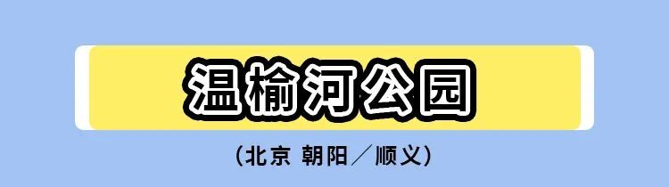 暑期标题1.jpg