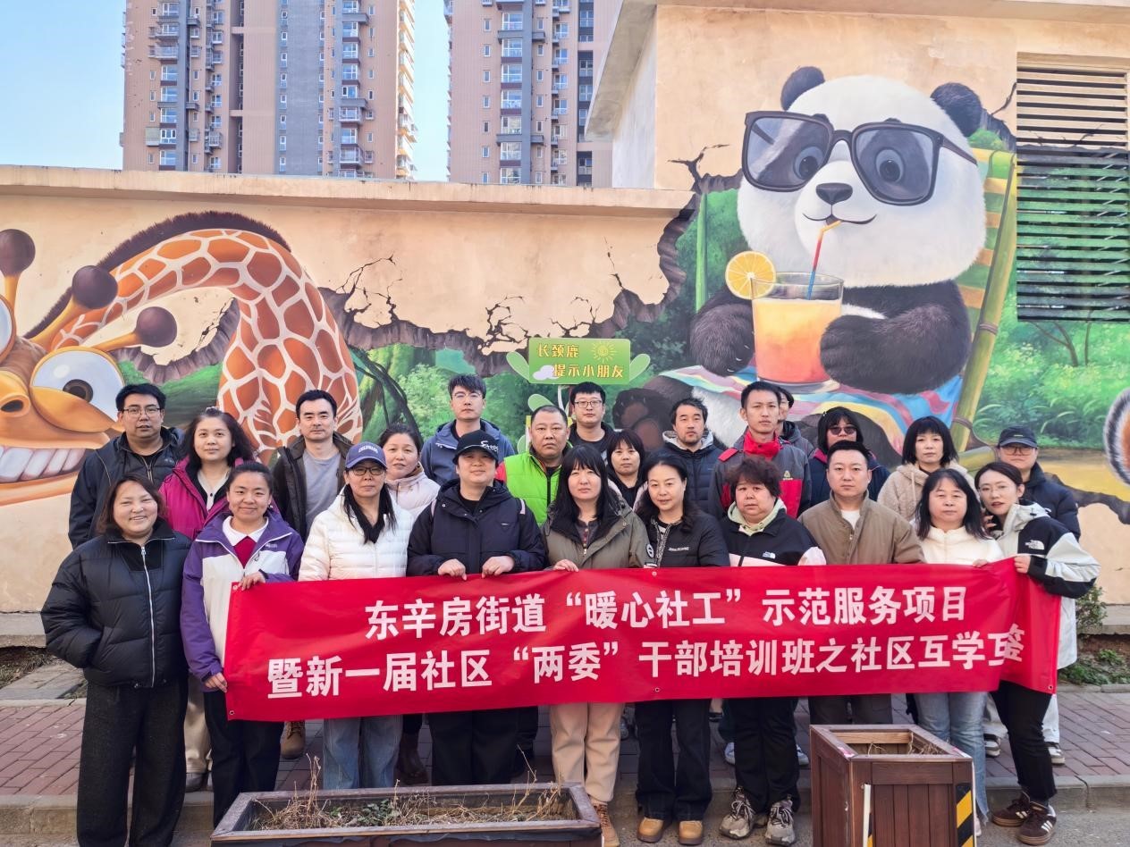赋能社工队伍深耕基层治理—— 门头沟东辛房街道“暖心社工”项目绘就幸福社区新图景