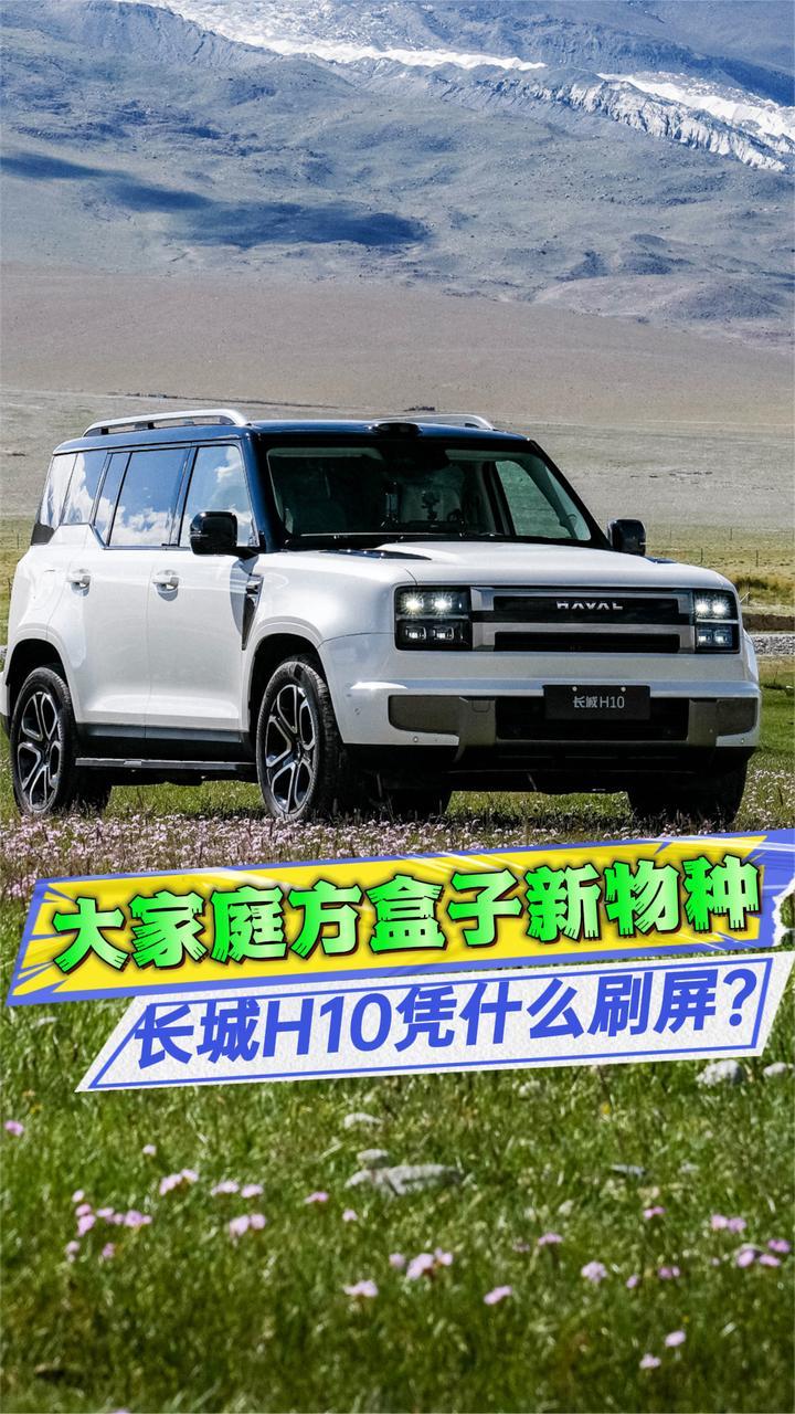 长城 H10上市，同级 SUV/MPV 都坐不住了？
