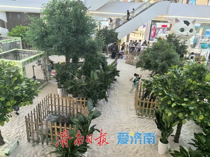 济南商业正在“长出”新模样(图2)