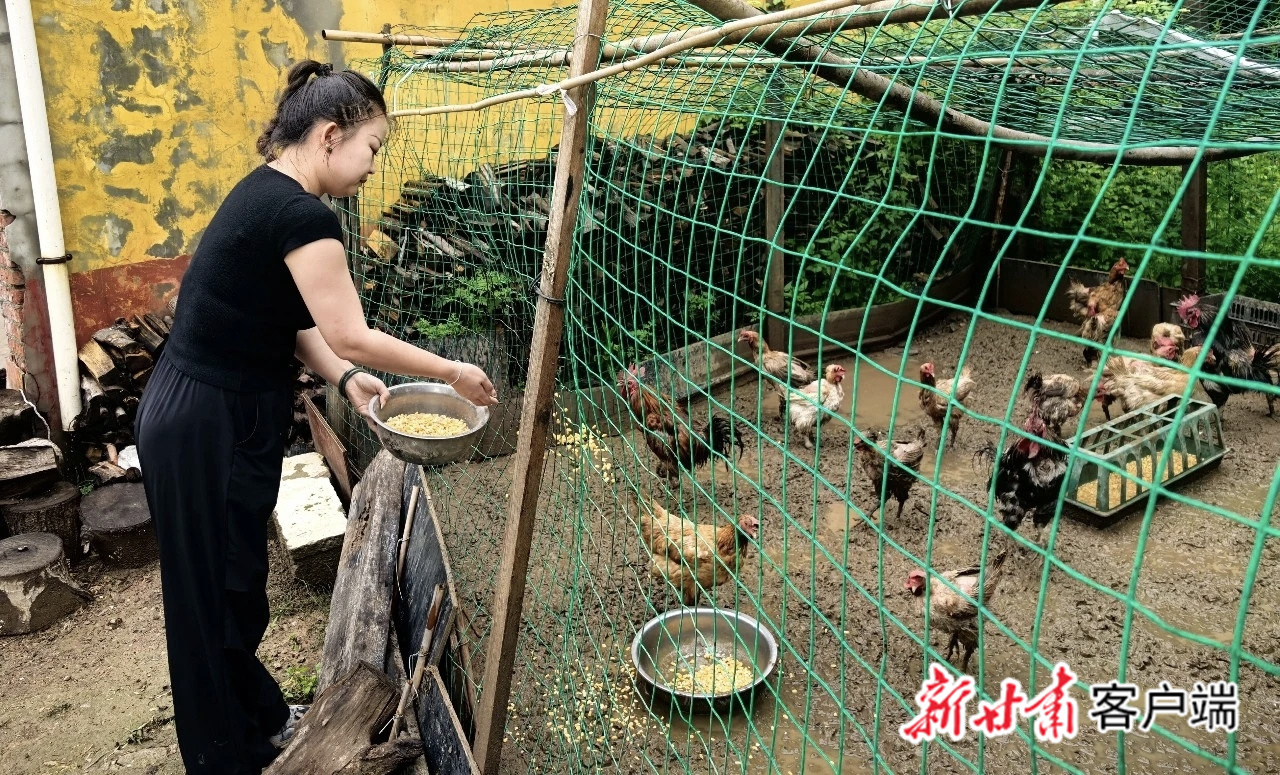 张云霞照料群众家中禽畜