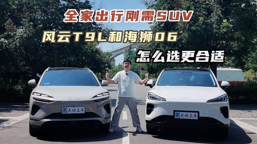全家出行刚需SUV，风云T9L和海狮06怎么选更合适？