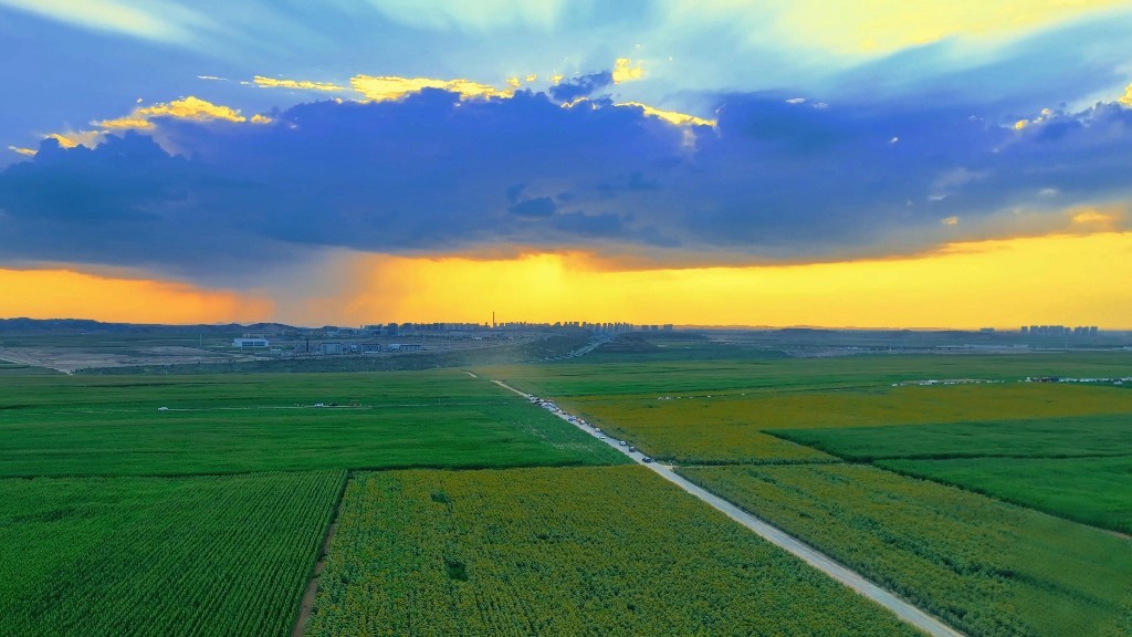 夕阳下的美丽田园路
