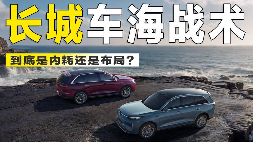 5大品牌、超30款在售车型，长城“车海战术”，是内耗还是布局？