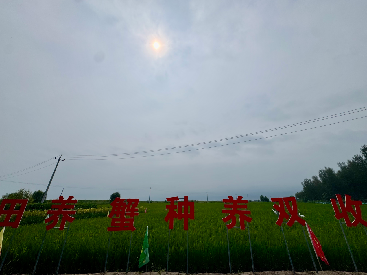 镇赉县庆江种植养殖农民专业合作社