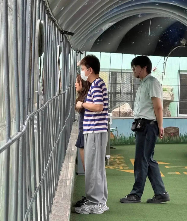 贾乃亮和甜馨一起在东北虎林园看老虎。