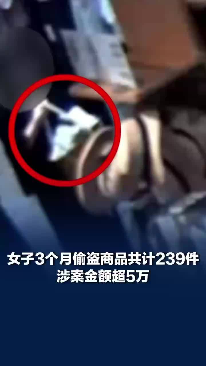 女子3个月偷盗239件商品