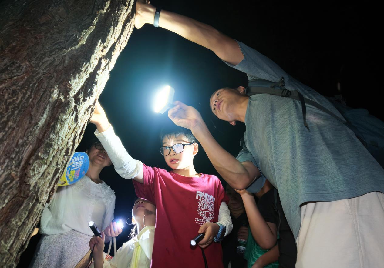 “美丽‘镇’发现”生态研学自然笔记活动走进九龙湖湿地