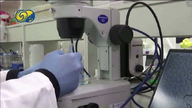 【#美国科学家首次用AI设计出病毒#,“不会对人类构成威胁”】 据英